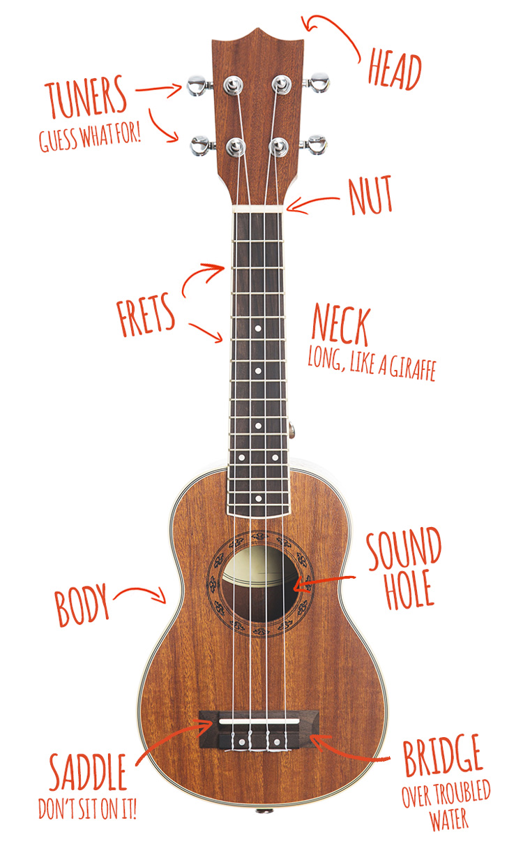 get-to-know-your-uke