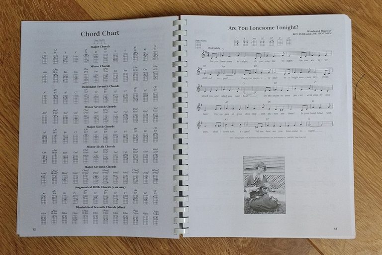 The Daily Ukulele Book Review Ukulele Go